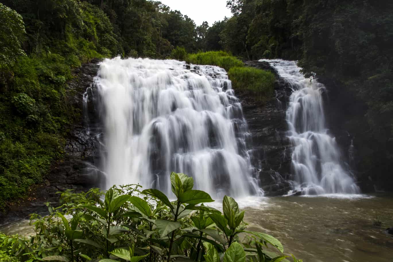 Coorg Tour from Banagalore