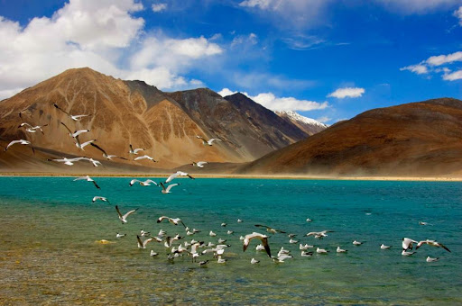 Most famous Tourist Places to Visit in Leh - Ladakh