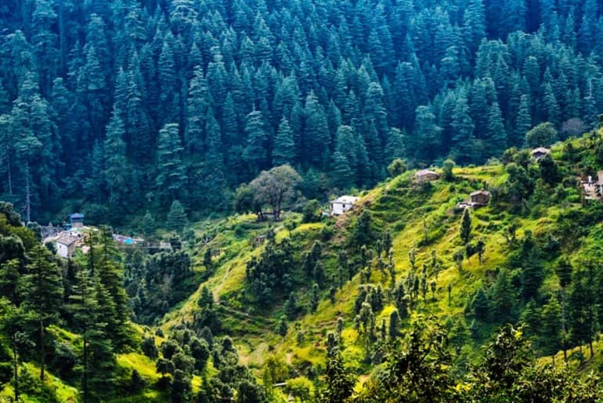 Ranikhet