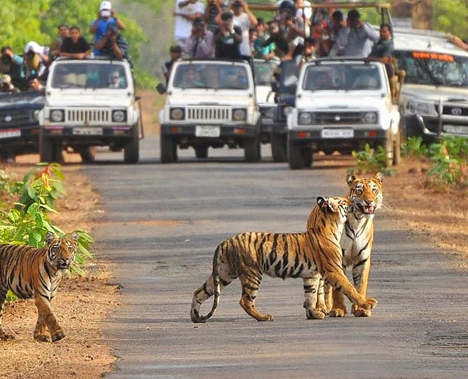 Jim Corbett