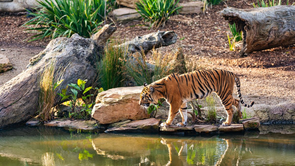 top 10 tourist places in Odisha
